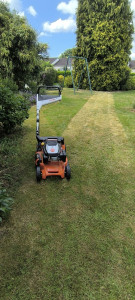 Photo de galerie - Tonte 