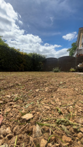 Photo de galerie - Paysagiste - Aménagement du jardin