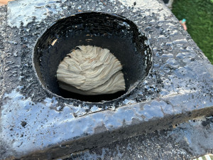 Photo de galerie - Destruction de nid de frelon dans un conduit de cheminée 