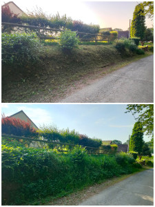 Photo de galerie - Débroussaillage d'un talus avec ramassage.