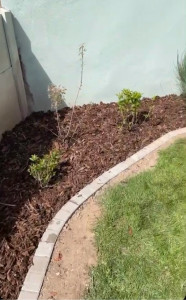 Photo de galerie - Plantation + délimitation massif avec des pavés + écorces