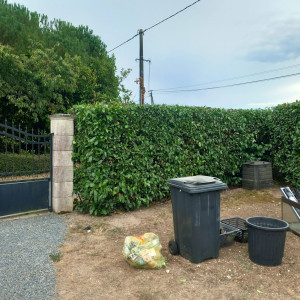 Photo de galerie - Haie après 