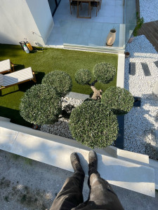 Photo de galerie - Taille de haies et d'arbustes