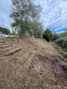 Photo de galerie - Tonte de pelouse - Débroussaillage