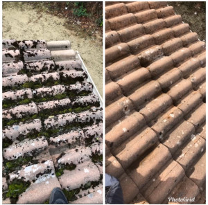 Photo de galerie - Nettoyage de toiture 