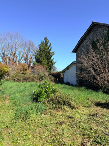 Photo de galerie - Tonte de pelouse - Débroussaillage