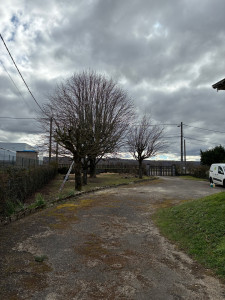Photo de galerie - Elagage et coupe d'arbres