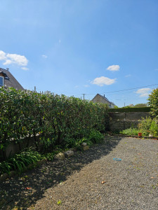 Photo de galerie - Rabattage Haie de palmes apres 