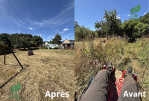 Photo de galerie - Tonte de pelouse - Débroussaillage