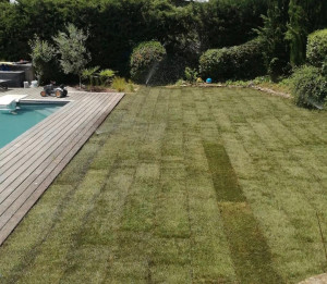 Photo de galerie - Paysagiste - Aménagement du jardin