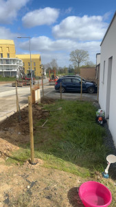 Photo de galerie - Clôture Grillage