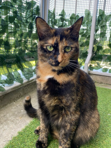 Photo de galerie - Voici ma Lyla ! Elle a 1 ans et demi :) 