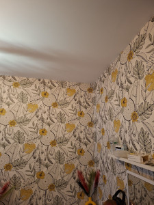Photo de galerie - Je mis papierpaint dans la chabre plus peintre le plafond