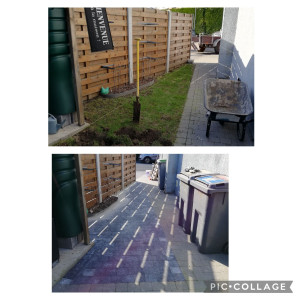 Photo de galerie - Paysagiste - Aménagement du jardin