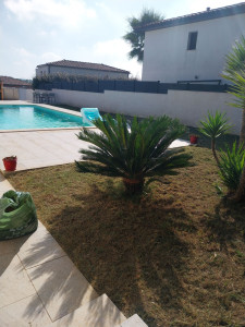 Photo de galerie - Taille de haies et d'arbustes