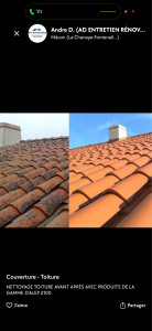 Photo de galerie - Démoussage manuel → Nettoyage adapté au support → Application traitement anti-mousse → Finition soignée.