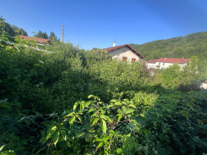 Photo de galerie - DÉBROUSSAILLAGE AVANT