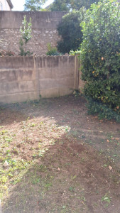 Photo de galerie - Tonte de pelouse - Débroussaillage