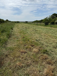 Photo de galerie - Débroussaillage herbes hautes après 