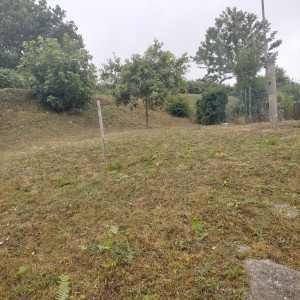 Photo de galerie - Tonte de pelouse - Débroussaillage