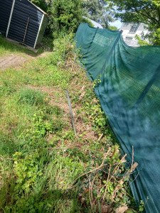 Photo de galerie - Désherbage à la main arrachage de trogne