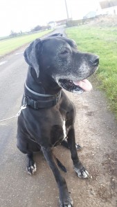 Photo de galerie - Du plus petit au plus gros gabarit ?