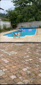 Photo de galerie - Amenagement piscine et creation terrasse 
