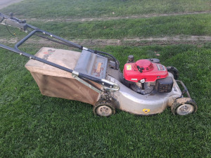 Photo de galerie - .