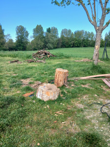 Photo de galerie - Je découpe arbe