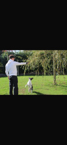 Photo de galerie - ? Amoureux des chiens et toujours partant pour une partie de jeu ou une balade ! Ici, en pleine action avec mon copain à quatre pattes ??. Plein d’énergie et d’attention pour vos compagnons ! ?