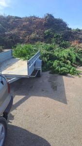 Photo de galerie - Taille de haie, élagage. Evacuation de vos déchets vert.