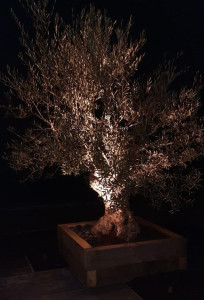 Photo de galerie - Installation d'un éclairage extérieur décoratif