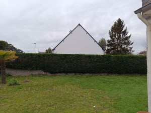 Photo de galerie - Taille de haie pour particulier.