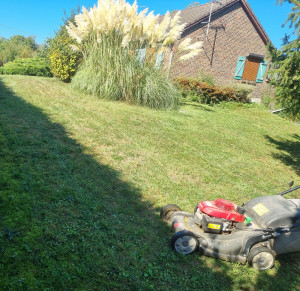 Photo de galerie - Tonte pelouse