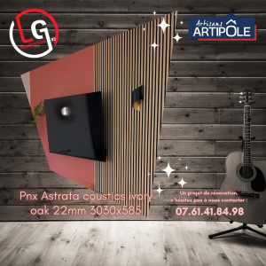 Photo de galerie - Panneaux acoustique 