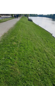 Photo de galerie - Tonte de pelouse - Débroussaillage