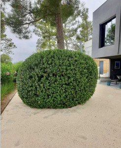 Photo de galerie - Jardinier