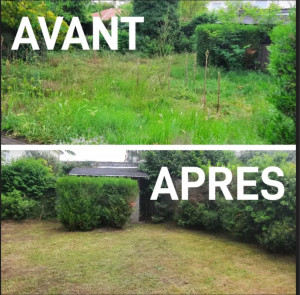 Photo de galerie - Taille de haies et d'arbustes