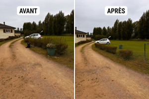 Photo de galerie - Taille de haies 