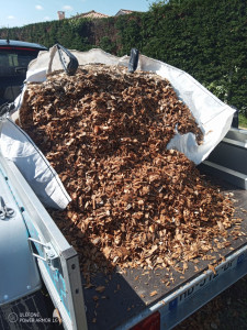 Photo de galerie - Paysagiste - Aménagement du jardin