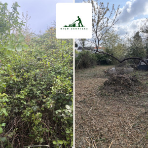 Photo de galerie - Débroussaillage d'un grand jardin abandonné depuis plusieurs années.