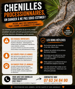 Photo de galerie - Traitement des chenilles processionnaires par piégeage, enlèvement des cocons etc...