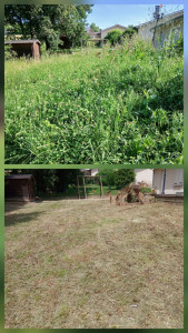 Photo de galerie - Remise en état d'un jardin ?