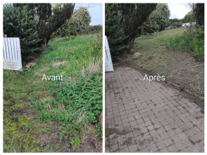Photo de galerie - Debroussaillage 
