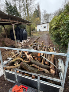Photo de galerie - Évacuation de bois