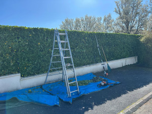 Photo de galerie - Taille d’une haie de laurier