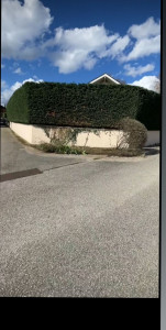 Photo de galerie - Haie qui donne sur la rue , dérangent les passent et le propriétaire nous avons su donner le résultat souhaité au client .