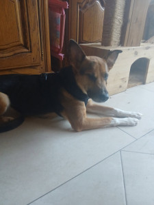 Photo de galerie - Petite zozos