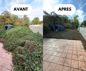 Photo de galerie - Remis en état terrain 