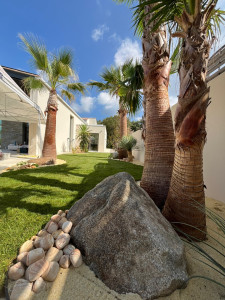 Photo de galerie - Paysagiste - Aménagement du jardin